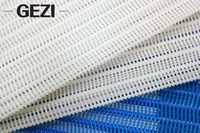 //iirorwxhqplqll5m.ldycdn.com/cloud/lmBpjKioliSRklnmpnpikq/Polyester-Mesh-Belt.jpg